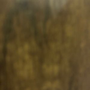 Meet your Posher, Jan